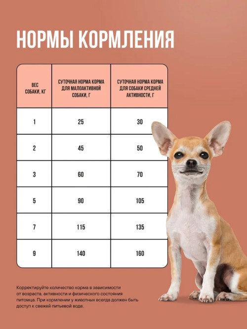 BOWL WOW сухой корм для взрослых собак мелких пород с ягненком, индейкой, рисом и тыквой - 10 кг