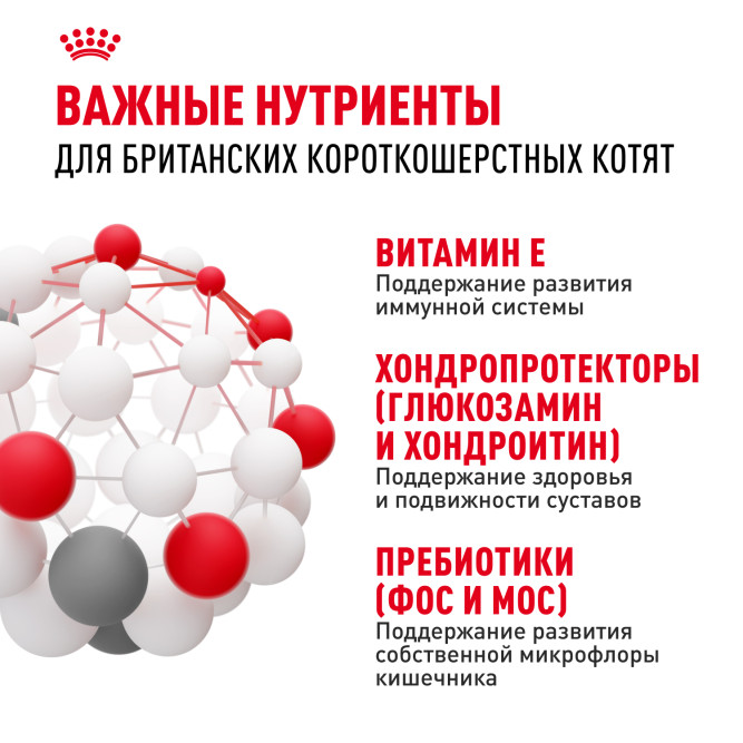 Royal Canin Kitten British Shorthair сухой корм для котят породы британская гладкошерстная - 10 кг