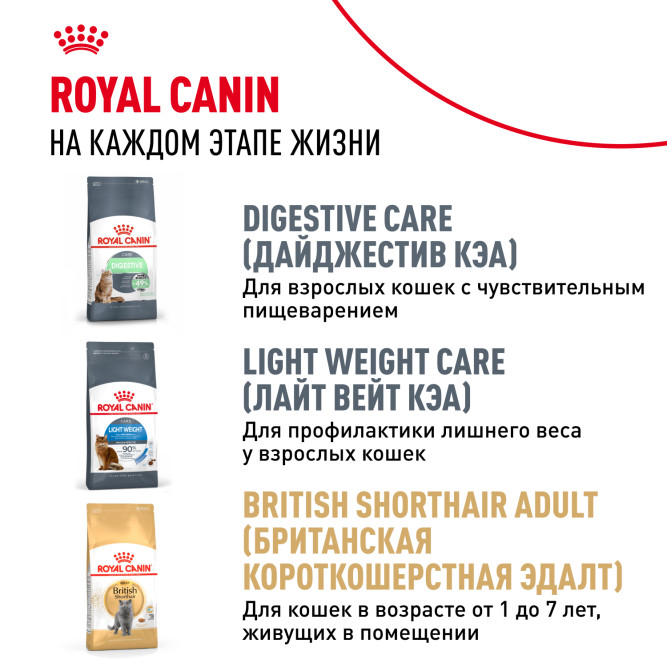 Royal Canin Kitten British Shorthair сухой корм для котят породы британская гладкошерстная - 10 кг