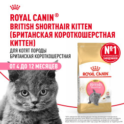 Royal Canin Kitten British Shorthair сухой корм для котят породы британская гладкошерстная - 10 кг