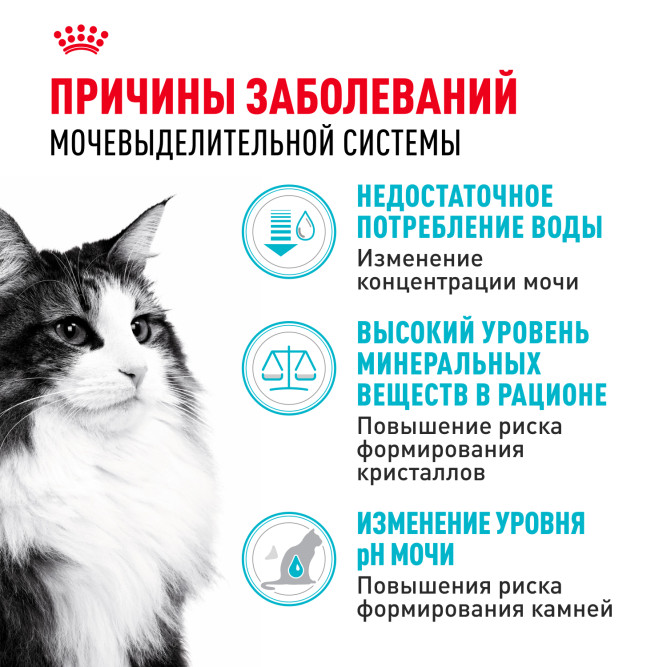 Royal Canin Urinary Care сухой корм для взрослых кошек для профилактики мочекаменной болезни - 4 кг
