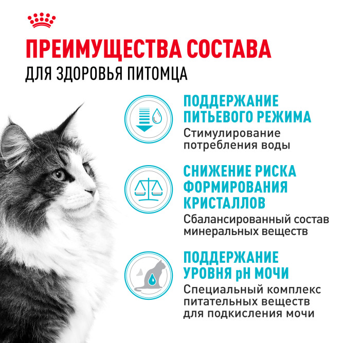 Royal Canin Urinary Care сухой корм для взрослых кошек для профилактики мочекаменной болезни - 4 кг