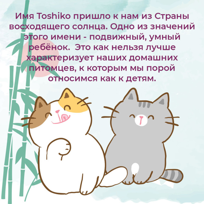 Toshiko Натуральный наполнитель комкующийся древесный для кошачьих туалетов - 7,6 кг (20 л)