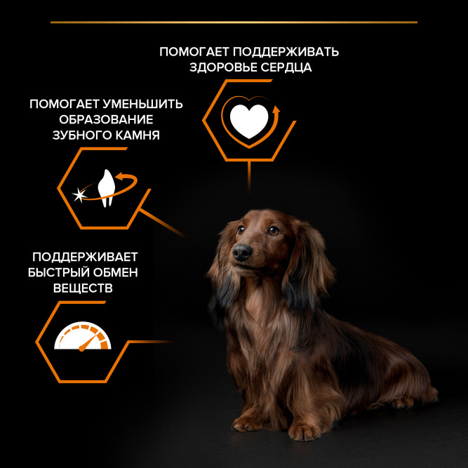 Purina Pro Plan Small &amp; Mini сухой корм для взрослых собак миниатюрных и мелких пород с курицей и рисом - 7 кг