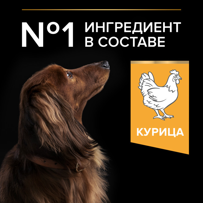 Purina Pro Plan Small &amp; Mini сухой корм для взрослых собак миниатюрных и мелких пород с курицей и рисом - 7 кг