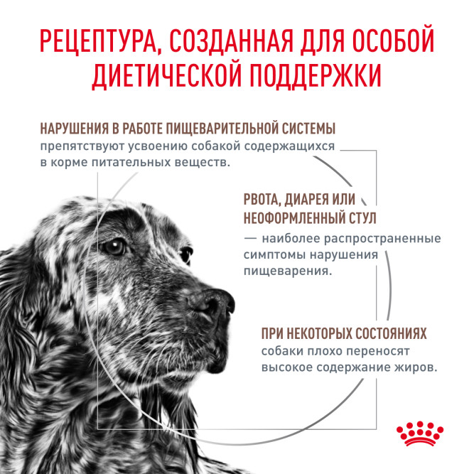 Royal Canin Gastrointestinal Low Fat LF22 сухой диетический корм для взрослых собак всех пород при нарушении пищеварения -12кг
