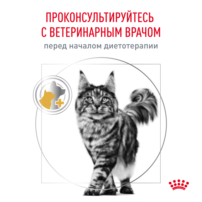 Royal Canin Urinary S/O сухой корм для взрослых кошек при мочекаменной болезни - 400 г