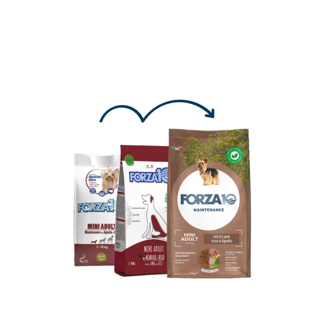 Forza10 Maintenance Dog Adult Small/Medium сухой корм для взрослых собак мелких пород из ягненка с рисом - 2 кг