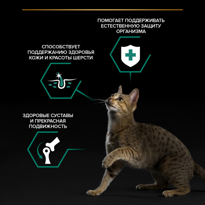 Purina Pro Plan набор паучей для взрослых кошек вкусные кусочки с индейкой в желе, нежные кусочки с уткой в соусе, вкусные кусочки с ягненком в желе - 85 г х 40 шт