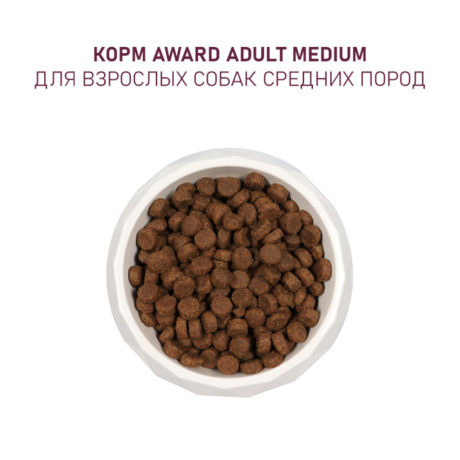 AWARD сухой корм для взрослых собак средних пород, с индейкой, курицей, морковью и черной смородиной - 2 кг