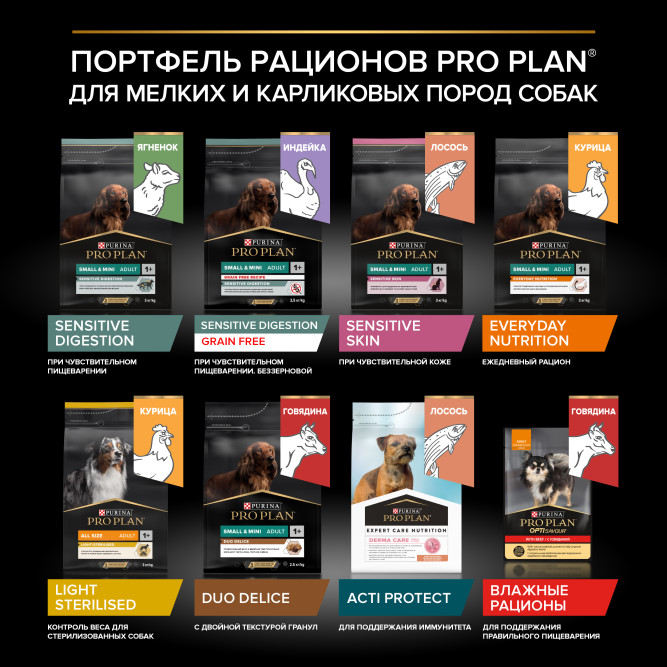 Pro Plan Adult Duo Delice сухой корм для взрослых собак мелких и карликовых пород с двойной текстурой гранул, с говядиной - 2,5 кг