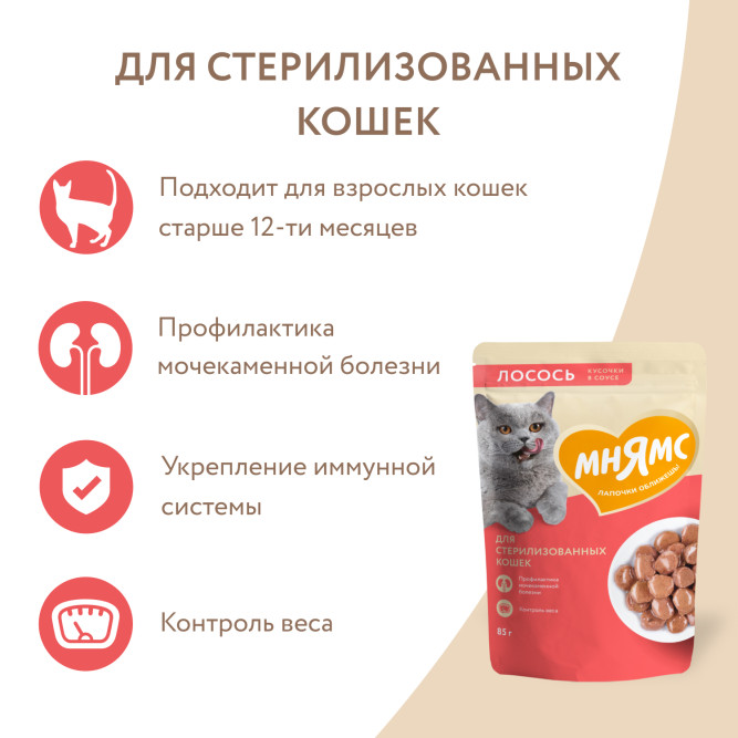 Мнямс влажный корм для стерилизованных кошек кусочки в соусе с лососем, в паучах - 85 г х 24 шт