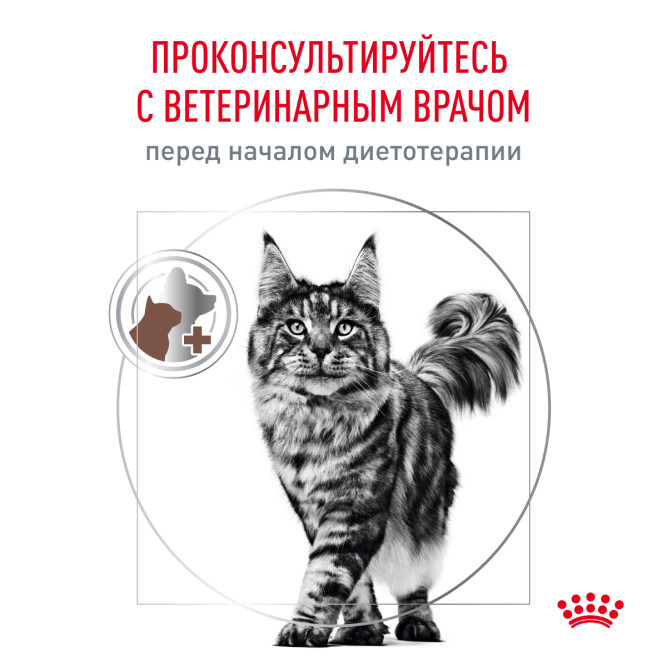 Royal Canin Gastrointestinal Fibre Response FR31 Feline сухой корм для кошек при нарушении пищеварения - 2 кг