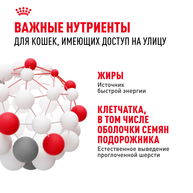 Royal Canin Fit 32 сухой корм для кошек бывающих на улице - 4кг