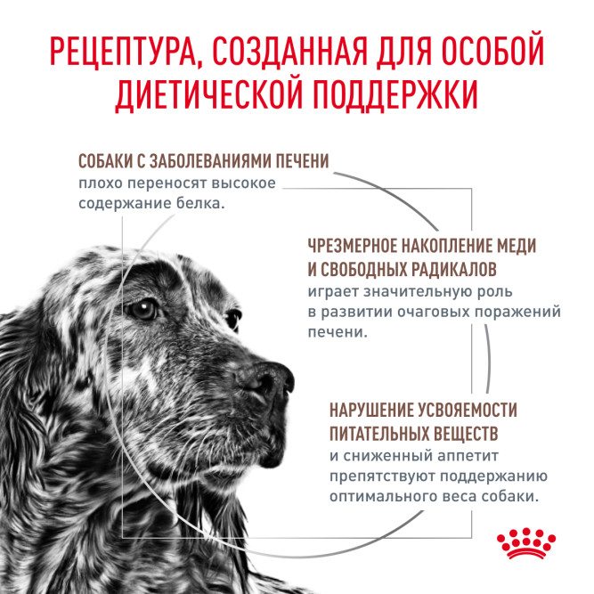 Royal Canin Hepatic HF16 для собак при заболеваниях печени  - 1,5 кг