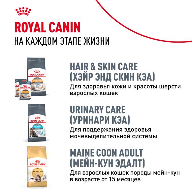 Royal Canin Maine Coon Kitten для котят породы мейн-кун в возрасте от 4 до 15 месяцев - 2 кг