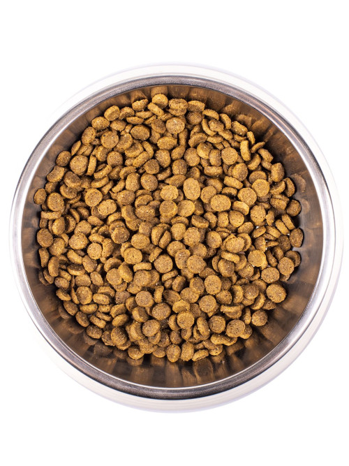 Monge Kitten сухой корм для котят с курицей 1,5 кг