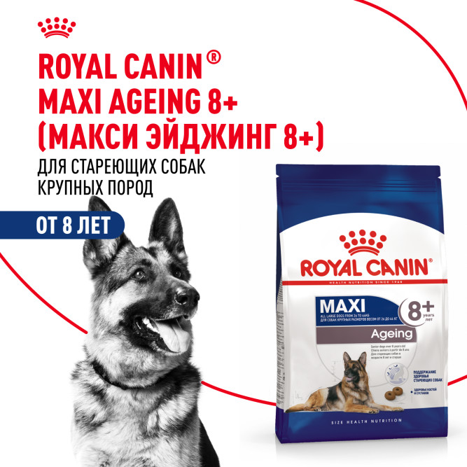 Royal Canin Maxi Ageing 8+ сухой корм для стареющих собак крупных пород старше 8 лет - 15 кг