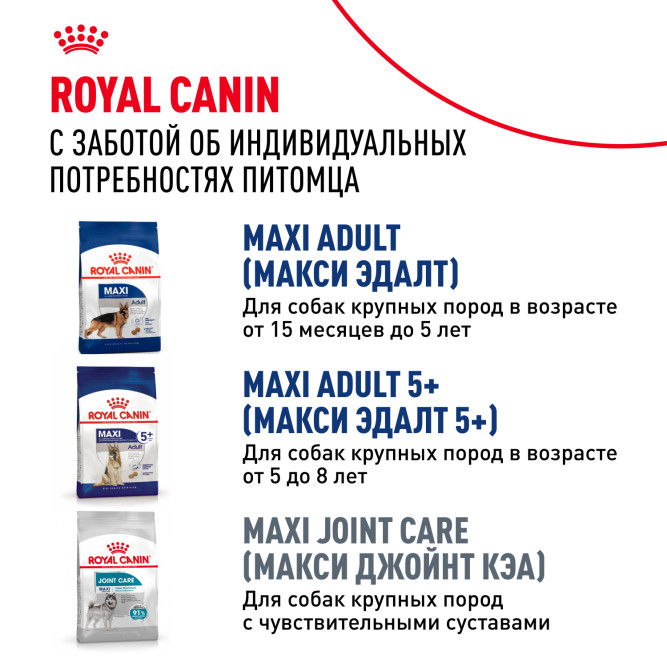 Royal Canin Maxi Ageing 8+ сухой корм для стареющих собак крупных пород старше 8 лет - 15 кг