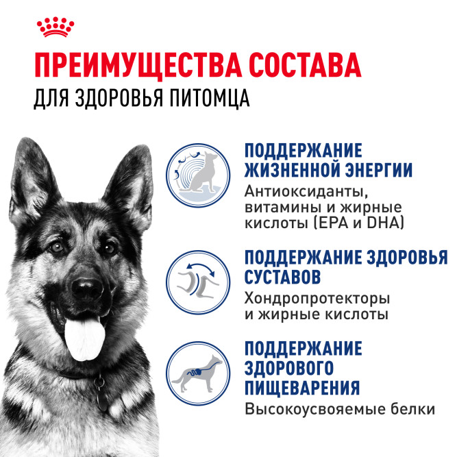 Royal Canin Maxi Ageing 8+ корм для стареющих собак крупных размеров в возрасте старше 8 лет - 3 кг