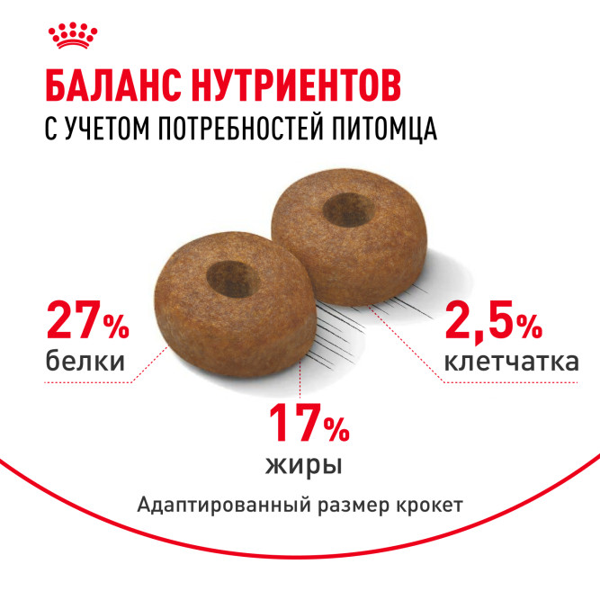 Royal Canin Maxi Ageing 8+ корм для стареющих собак крупных размеров в возрасте старше 8 лет - 3 кг