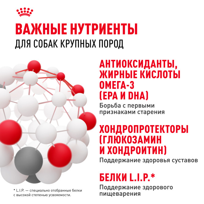 Royal Canin Maxi Ageing 8+ корм для стареющих собак крупных размеров в возрасте старше 8 лет - 3 кг
