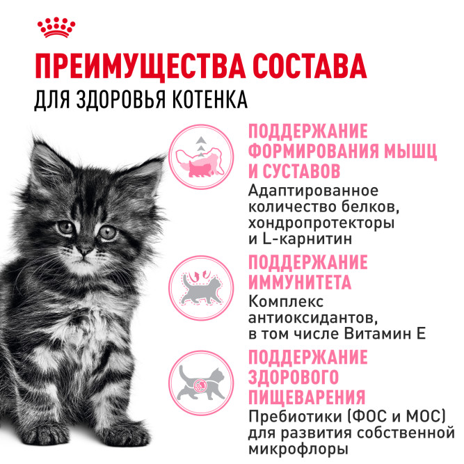 Royal Canin Maine Coon Kitten сухой корм для котят породы мейн - кун - 400 г