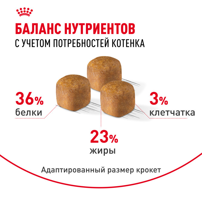 Royal Canin Maine Coon Kitten сухой корм для котят породы мейн - кун - 400 г