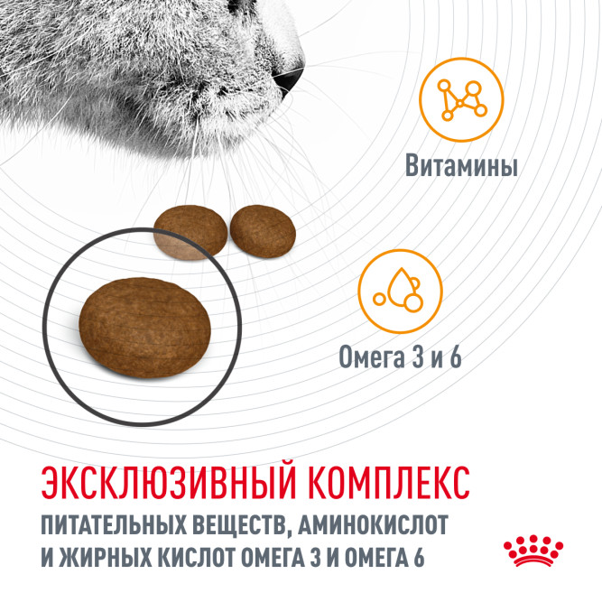Royal Canin Hair &amp; Skin Care сухой корм для взрослых кошек с проблемной шерстью и чувствительной кожей - 400 г