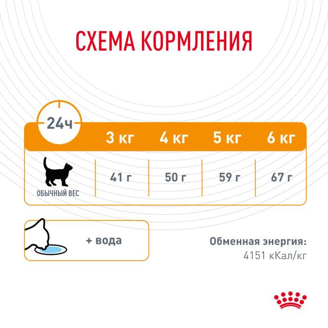 Royal Canin Hair &amp; Skin Care сухой корм для взрослых кошек с проблемной шерстью и чувствительной кожей - 400 г