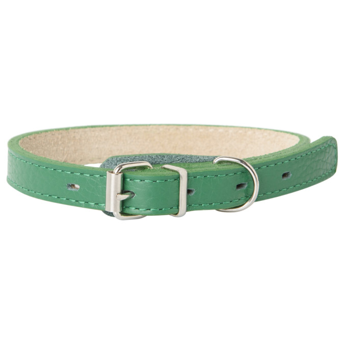 Mr.Kranch ошейник для собак, из натуральной кожи, прямой, 20-25 см, зеленый