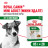 Royal Canin Mini Adult влажный корм для взрослых собак мелких пород старше 10 месяцев, кусочки в соусе, в паучах - 85 г х 28 шт