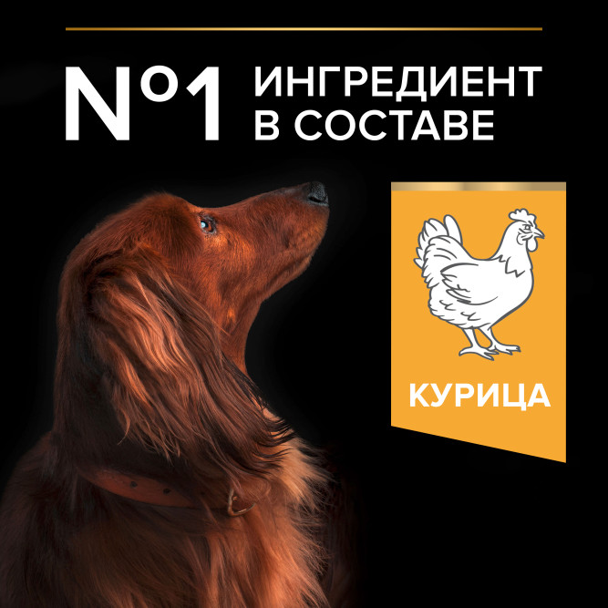 Pro Plan Small &amp; Mini Adult 9+ сухой корм для пожилых собак мелких и карликовых пород старше 9 лет с курицей - 700 г