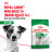 Royal Canin Mini Adult 8+ сухой корм для пожилых собак мелких пород старше 8 лет - 2 кг