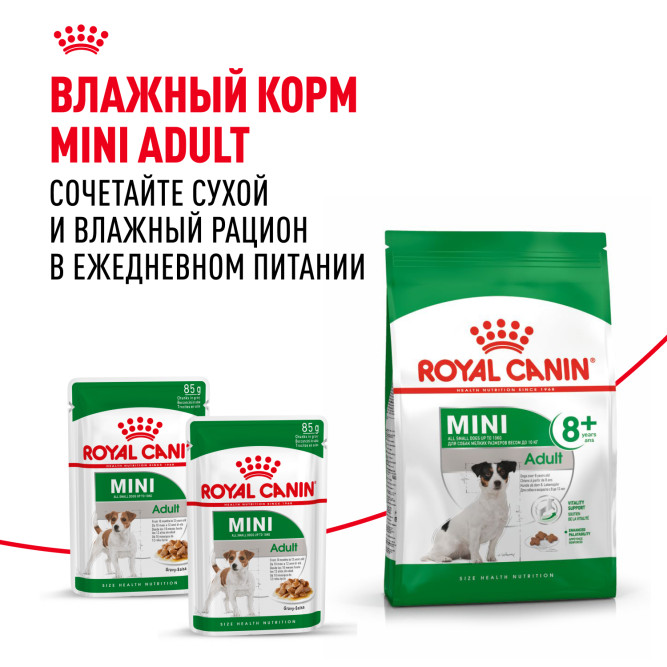 Royal Canin Mini Adult 8+ сухой корм для пожилых собак мелких пород старше 8 лет - 2 кг