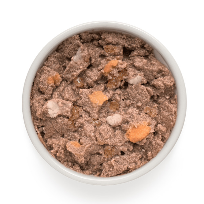 Grandorf влажный беззерновой корм для взрослых собак, паштет из говядины с бататом и цветной капустой, в консервах - 200 г х 6 шт