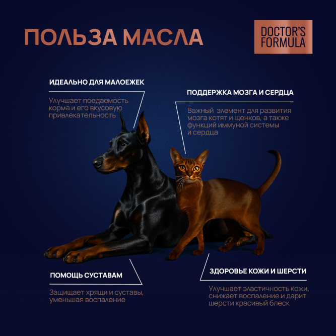DOCTOR'S FORMULA масло дикого лосося для кошек и собак  - 250 мл