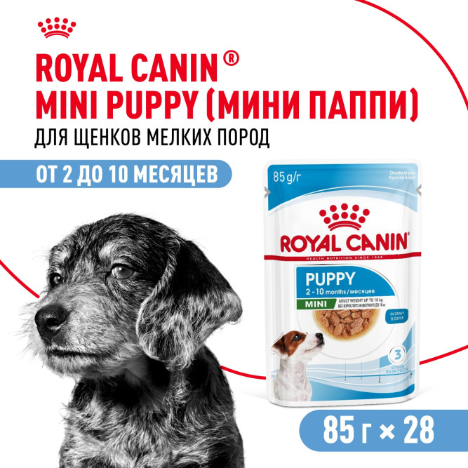 Royal Canin Mini Puppy влажный корм для щенков мелких пород в возрасте до 10 месяцев, кусочки в соусе, в паучах - 85 г х 28 шт