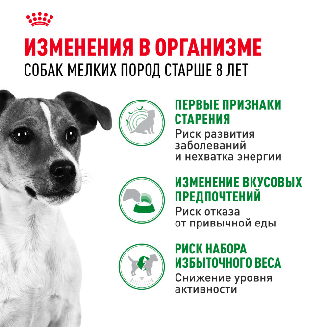 Royal Canin Mini Adult 8+ сухой корм для пожилых собак мелких пород старше 8 лет - 4 кг