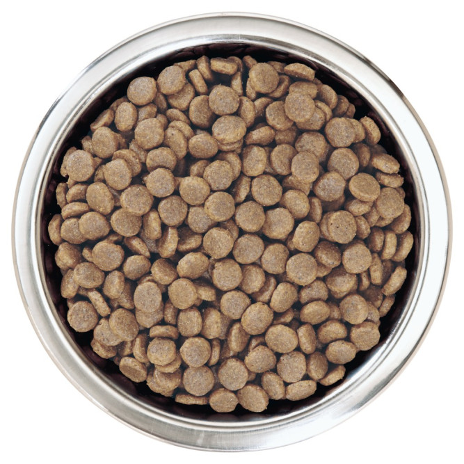 Pro Plan Adult Everyday Nutrition сухой корм для взрослых собак средних пород, с курицей - 3 кг