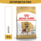 Royal Canin Boxer 26 корм для взрослых собак породы Боксер - 12 кг
