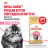 Royal Canin Kitten Persian сухой корм для котят персидской породы - 10 кг