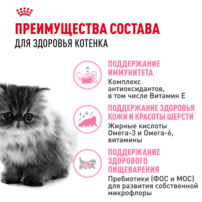 Royal Canin Kitten Persian сухой корм для котят персидской породы - 10 кг
