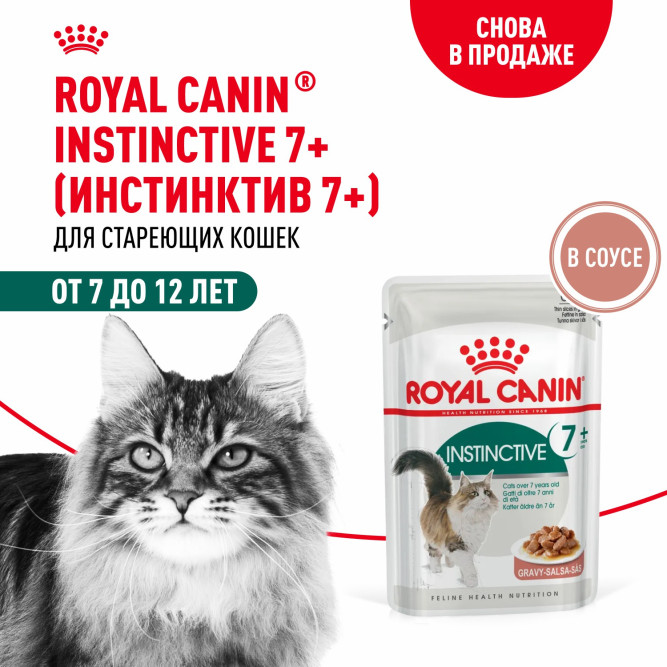 Royal Canin Instinctive 7+ влажный корм для пожилых кошек старше 7 лет, мелкие кусочки в соусе, в паучах - 85 г х 28 шт