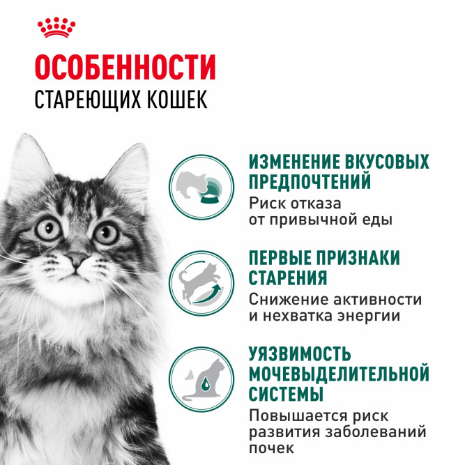 Royal Canin Instinctive 7+ влажный корм для пожилых кошек старше 7 лет, мелкие кусочки в соусе, в паучах - 85 г х 28 шт