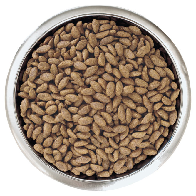 Pro Plan Adult Sensitive Skin сухой корм для взрослых собак средних пород с чувствительной кожей, с лососем - 3 кг