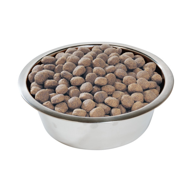 Pro Plan Adult Large Robust сухой корм для взрослых собак крупных пород с мощным телосложением с ягненком - 3 кг