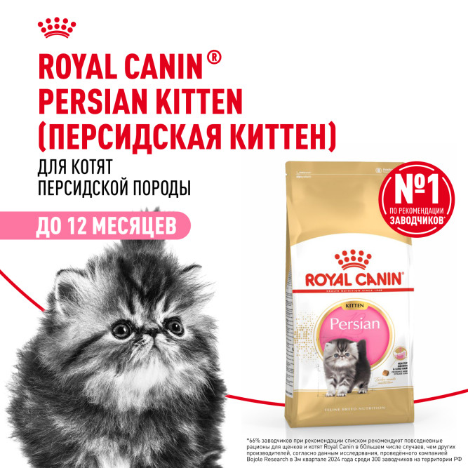 Royal Canin Kitten Persian 32 сухой корм с птицей для котят персидской породы от 2 до 12 месяцев, беременных и кормящих кошек - 2 кг