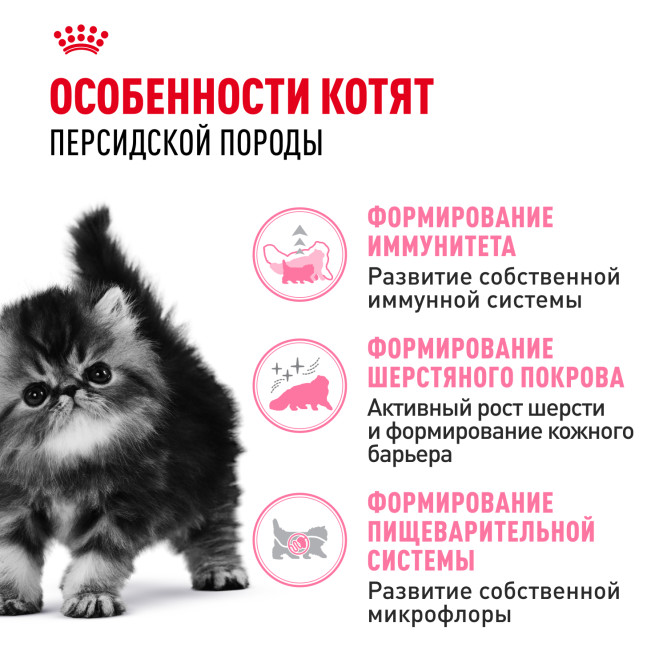 Royal Canin Kitten Persian 32 сухой корм с птицей для котят персидской породы от 2 до 12 месяцев, беременных и кормящих кошек - 2 кг