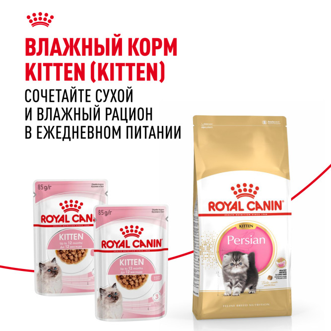 Royal Canin Kitten Persian 32 сухой корм с птицей для котят персидской породы от 2 до 12 месяцев, беременных и кормящих кошек - 2 кг